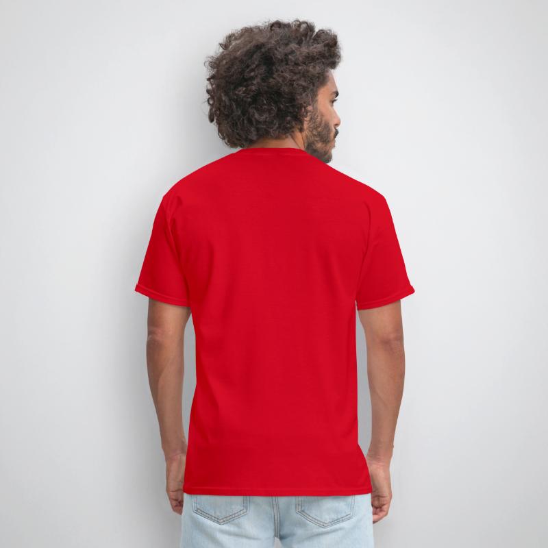 Czech Republic National Flag For