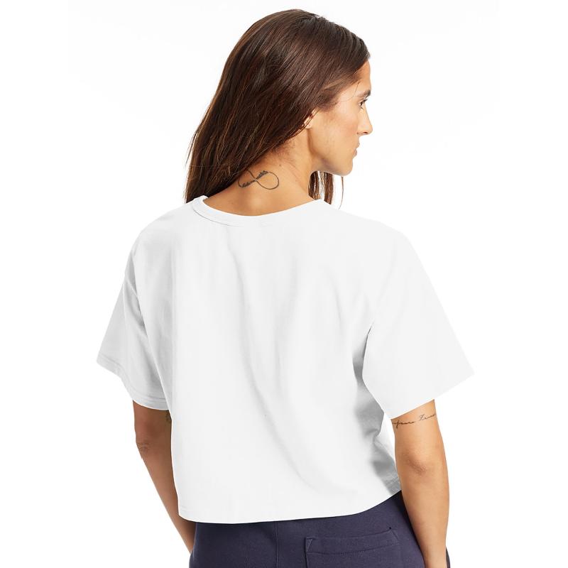 Corgi Witch Flying on Broom Halloween Moon Bats Pr