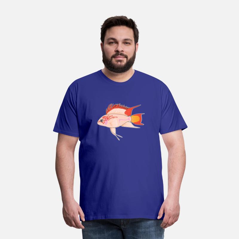 Apistogramma viejita Gold Dwarf Cichlid