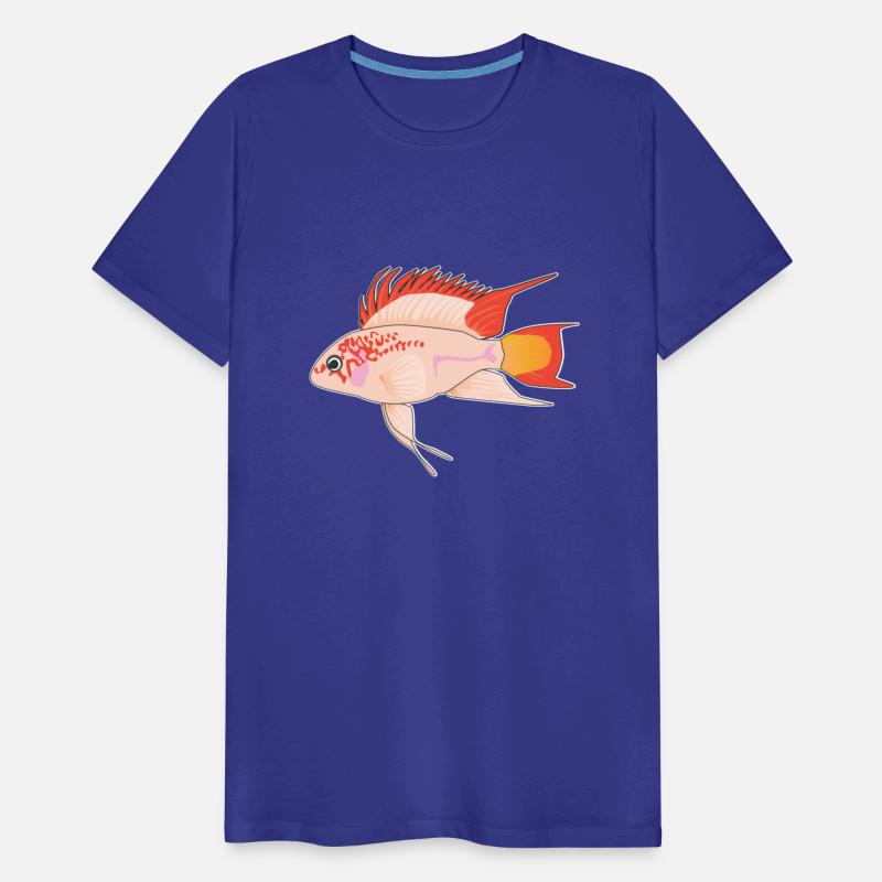 Apistogramma viejita Gold Dwarf Cichlid