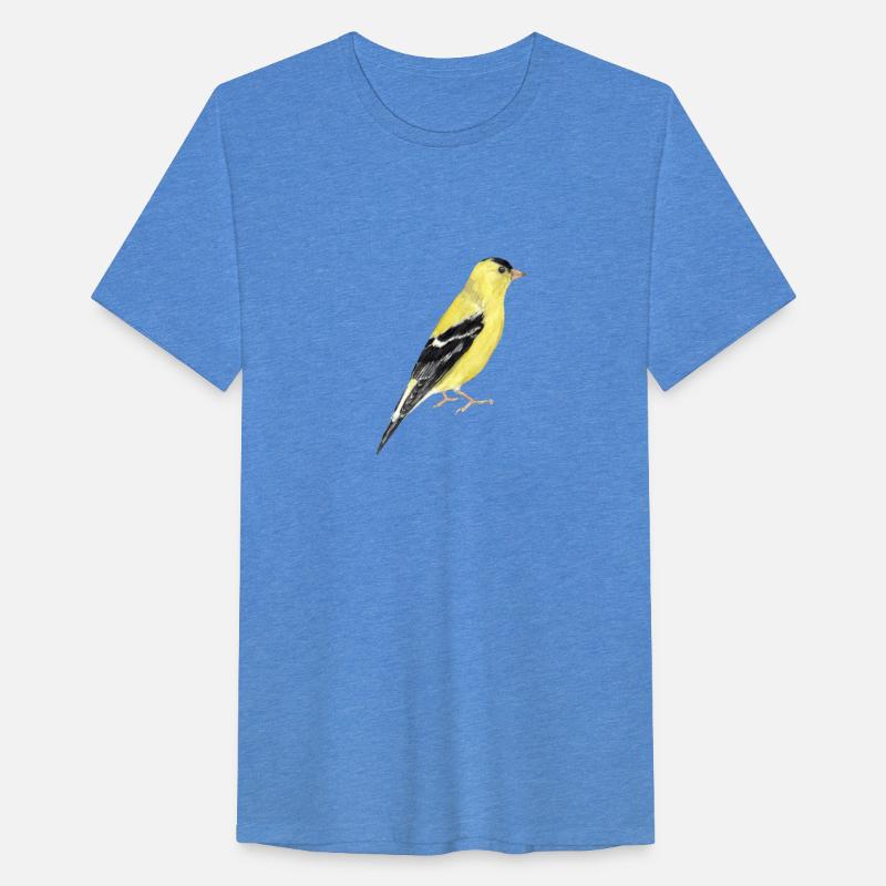 Beautiful American Goldfinch