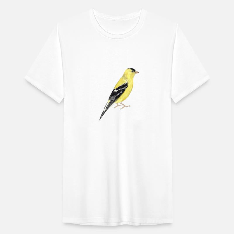 Beautiful American Goldfinch