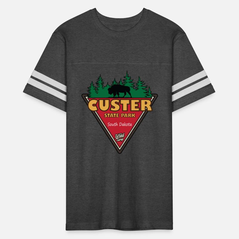 Bison in custer state park in south dakota