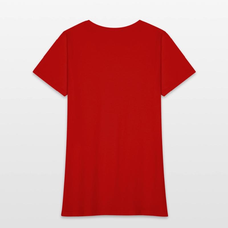 Credit Manager T Shirt - Sane Person Gift Item Tee