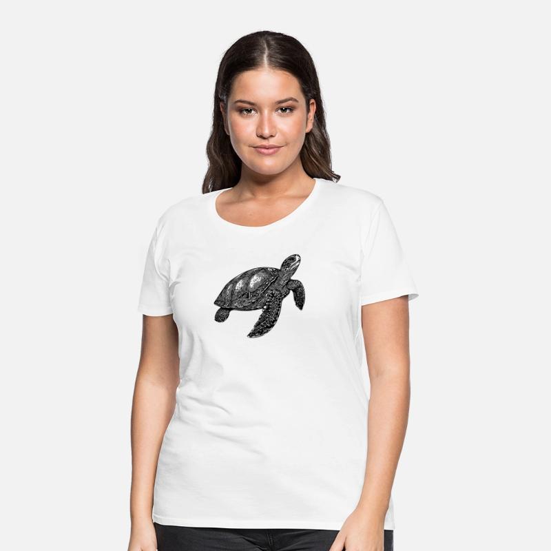 Elegant Swimming Old Water Turtle