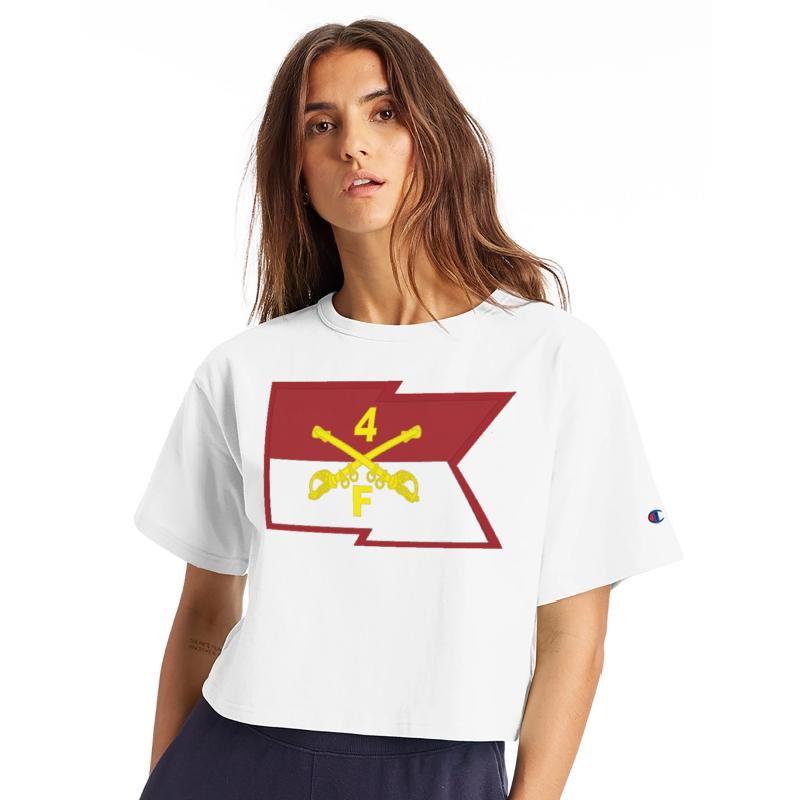 F Troop 4th Cavalry Regiment Guidon