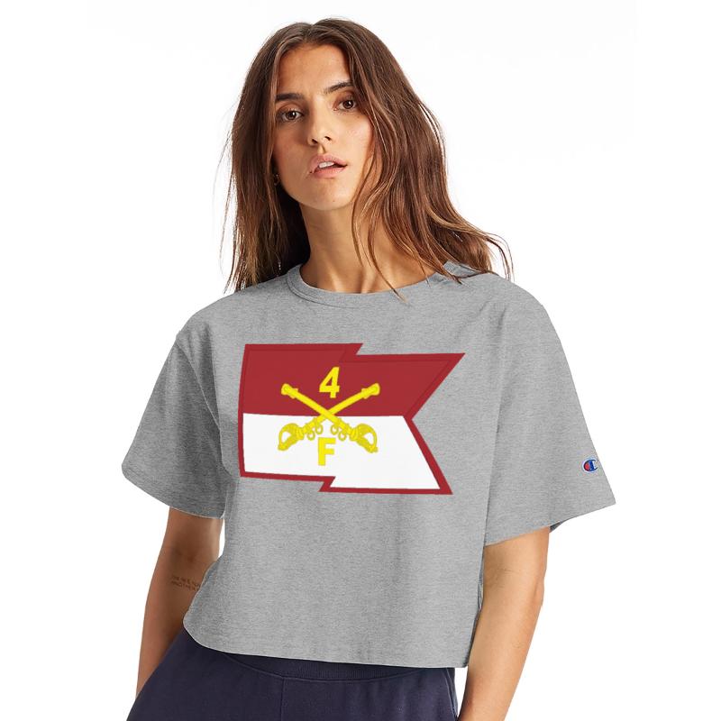 F Troop 4th Cavalry Regiment Guidon