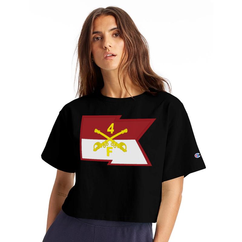 F Troop 4th Cavalry Regiment Guidon