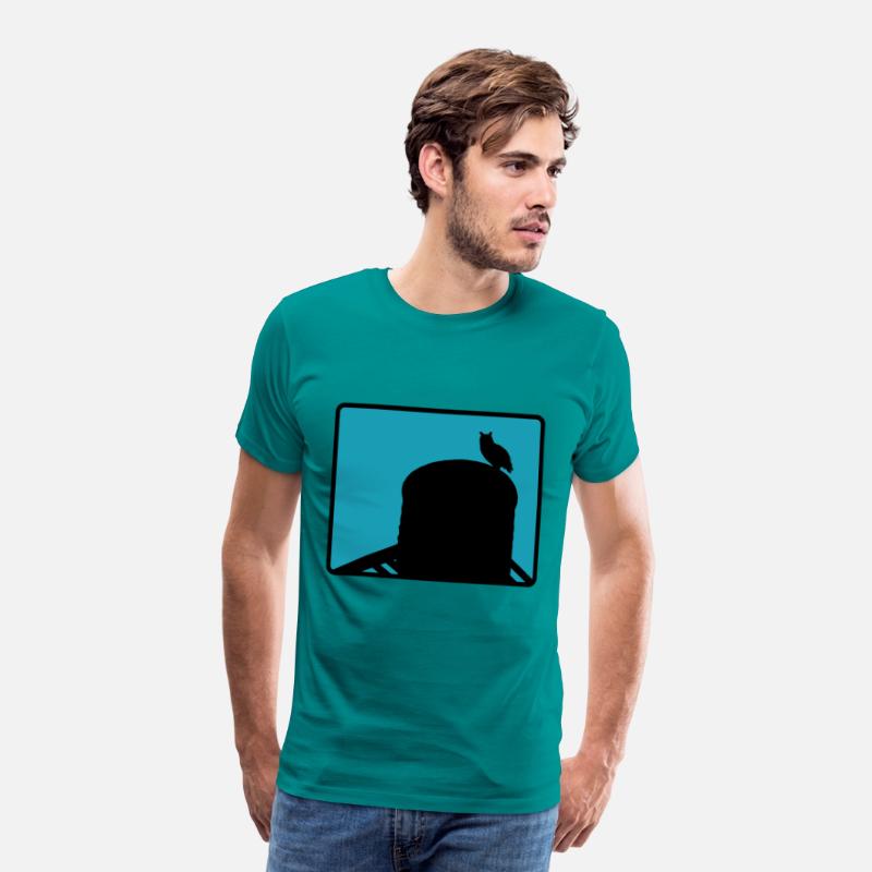 Flaco the Owl watchesfrom the Water Tower