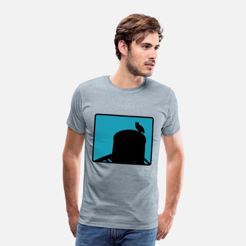 Flaco the Owl watchesfrom the Water Tower