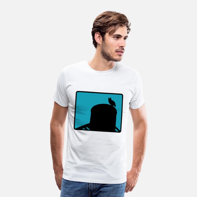 Flaco the Owl watchesfrom the Water Tower