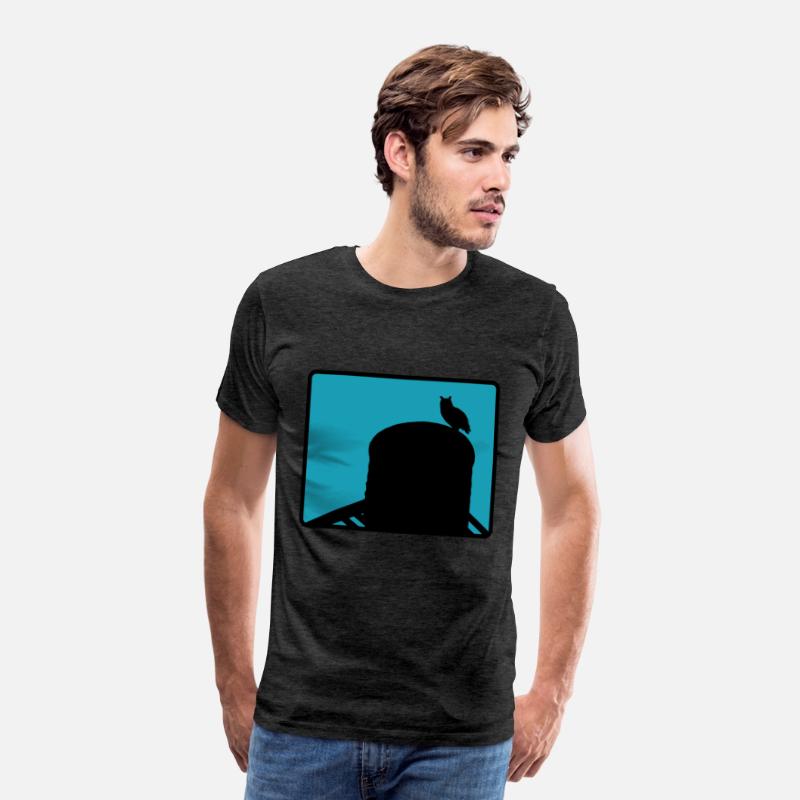 Flaco the Owl watchesfrom the Water Tower