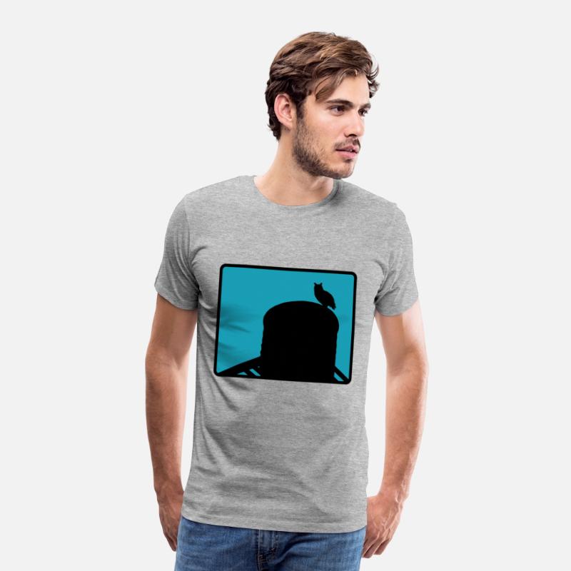 Flaco the Owl watchesfrom the Water Tower