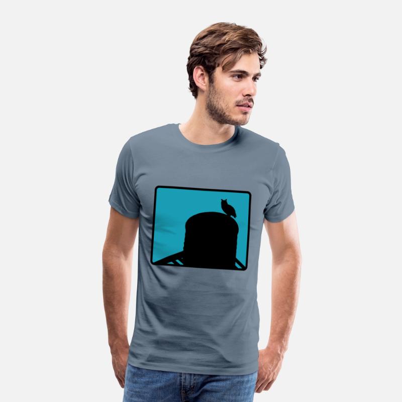 Flaco the Owl watchesfrom the Water Tower