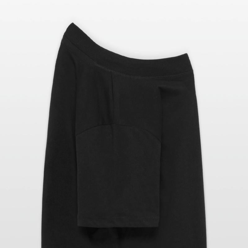 Funny Fox and Owl Cute Forest Animals Cartoon