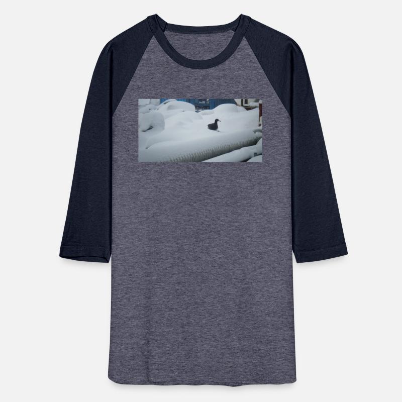 Giant Pestrel Antarctica gift idea.