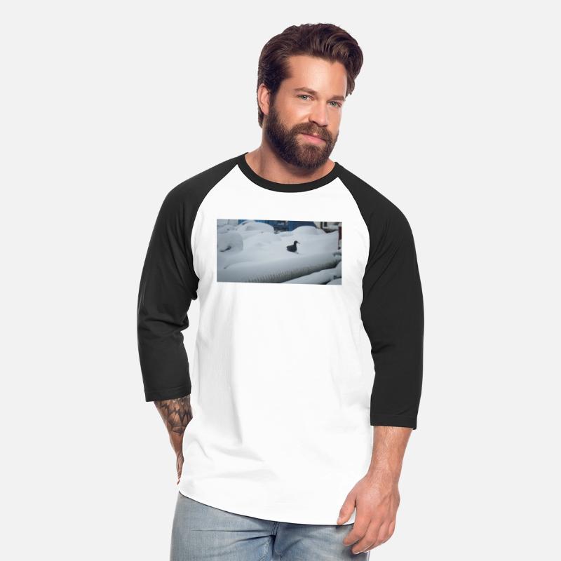 Giant Pestrel Antarctica gift idea.