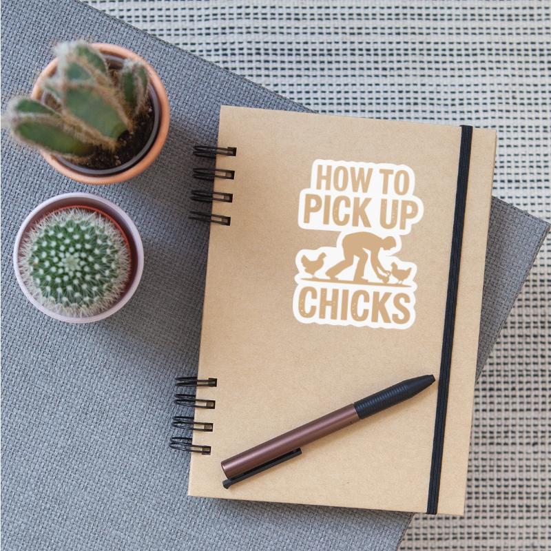 How to Pick Up Chicks Funny