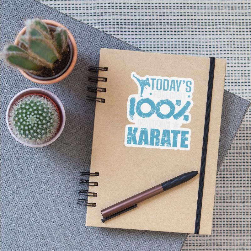 Today's Forecast 100% chance of Karate