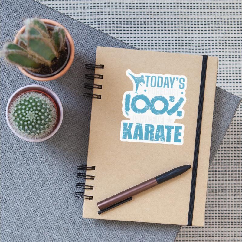 Today's Forecast 100% chance of Karate